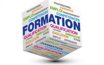 Les artisans privés de formation