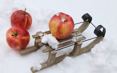 La Chambre de Métiers et de l’Artisanat du Lot recrute !